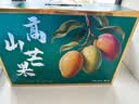 京地达海南澳芒新鲜芒果净重8斤单果1斤+ 应季水果超大果源头直发包邮 实拍图