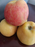 正宗山东红富士苹果丑苹果新鲜水果当季脆甜冰糖心苹果嘎啦果 净重5斤70mm+ 实拍图