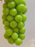 智宙 江苏阳光玫瑰葡萄国产晴王无籽香印提子 新鲜水果礼盒年货节送礼 精品果净重5斤单粒6-8g 实拍图