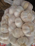 山东金乡蒜大蒜出口标准精选大蒜头蔬菜调料单果5cm 【专享】出口网兜925g5-5.5cm特大 实拍图