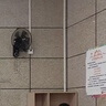 先科（SAST）风扇/壁扇/电风扇/宿舍餐厅电风扇/大风力/交流定频/壁挂式电风扇FB-308  实拍图