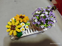 俐智（Loz）积木花拼装模型拼插永生花束送女友情人节生日礼物1674浮光初夏 实拍图