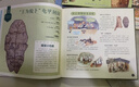 中国国家博物馆儿童历史百科绘本 把国博搬回家 （平装）（1-10册） 实拍图