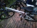 凤凰（Phoenix）可折叠山地车自行车成人男女新款式学生12到18岁变速越野软尾单车 辐条轮/双避震【密封全轴承】钢架肖灰 27.5寸-24速【身高168-198cm】 实拍图