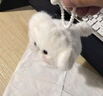 威尔通（WELTSTON）毛绒玩具公仔玩偶布娃娃生日礼物 摇尾巴萌犬背包挂件钥匙链 实拍图