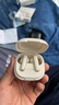 声阔（SoundCore）P40i超能小彩蛋2.0升级降噪真无线蓝牙耳机TWS入耳式音乐游戏耳机6麦AI3D音效白色 实拍图