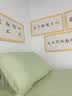 无印良品学生宿舍床笠90x190cm纯棉床笠罩床垫套全包拉链褥子套床垫保护套 浅豆绿【A面全棉 B面牛奶绒】 90cm*190cm 床套【适1-8cm床垫】 实拍图