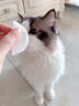 拜达尔宠物湿巾眼部去泪痕耳部猫咪狗狗清洁除臭湿纸巾猫狗专用130片 实拍图