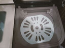 扬子半自动洗衣机【大厂补贴20%】大波轮家用双桶不锈钢双缸洗脱一体洗衣机 【20公斤补贴款】-玻璃面板波轮 实拍图
