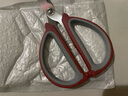 开学文具剪刀闹钟夜光闹钟计时器 【秒杀福利】家用剪刀红色中号 实拍图