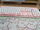 GEEZER Hello bear 无线复古朋克键鼠套装 可爱办公键鼠套装 鼠标 电脑键盘 笔记本键盘 粉色 实拍图