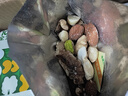 百草味每日全坚果750g/30袋 休闲零食开心果腰果混合果仁礼盒送礼 实拍图