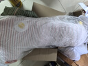 乐瓜睡觉抱枕床上等身长条抱枕蛋黄鸡陪睡玩偶侧睡夹腿枕成人生日礼物 实拍图