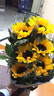 浪漫季节开学季鲜花同城配送向日葵混搭香槟玫瑰花束表白生日礼物送老公 5朵向日葵+红豆 今日送达-可预约送花时间 实拍图