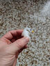 变色烤鸭车载汽车挂件创意后视镜鸭子挂饰车载网红可爱车内装饰 变色烤鸡【紫外线变色】1个装 实拍图