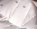 霞珍【羽绒被】95%白鹅绒被芯 5A级80支全棉抗菌鹅绒被 轻盈保暖被子 5A级标准冬被-抗菌升级 150cm*210cm 实拍图