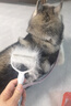 HELLOJOY猫梳子狗狗毛猫毛梳毛刷打薄刮毛神器去底绒防掉毛猫咪宠物开结刀 实拍图