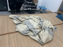 被子被芯冬被春秋被床垫被褥子铺底冬季加厚优质被芯【铺盖两用】 优质被芯【铺盖两用】 100*200cm【4斤】 实拍图