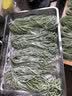 秉慈压面机家用面条机手摇全自动挂面机揉面机手动饺子皮馄饨皮机 普通辊带+普通面刀 实拍图