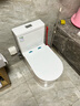 东鹏（DONGPENG）十大品牌马桶坐便器大冲力虹吸静音连体座便器小户型马桶 【升级版W6391A05】 300坑距 实拍图