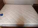 联乐天然乳胶床垫3E椰棕静音独立弹簧床垫软硬两用床垫全适用床垫 呵护脊椎加强款22CM 1800*2000 实拍图