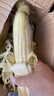 鲁韵忆乡【新品】新鲜甜糯香玉米 现摘农家甜糯嫩苞米带皮非转基因甜玉米 玉米4-5斤 晒单实拍图