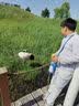 亚瑟士童装夏季儿童舒适轻薄防晒防蚊百搭运动裤332241083093 实拍图
