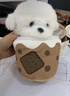 威尔通（WELTSTON）博美小狗公仔礼品毛绒玩具玩偶儿童生日礼物女生 茶杯犬斜跨背包 实拍图
