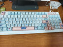 迪士尼史迪仔蓝牙无线键盘三模有线键盘鼠标套装静音机械手感游戏键鼠男女生办公高颜值笔记本电脑平板用 D98史迪仔蓝白-双模键盘【无线2.4G+蓝牙】 迪士尼正版 实拍图
