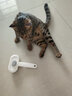 HELLOJOY狗狗梳子猫毛清理狗毛梳毛刷猫咪宠物用品中大型犬针梳去浮毛神器 实拍图