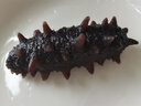 参王朝 大连直发冷冻冷蒸即食海参辽刺参海鲜水产礼盒 500g 10-12头 7A级 实拍图