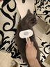 HELLOJOY狗狗梳子猫毛清理狗毛梳毛刷猫咪宠物用品中大型犬针梳去浮毛神器 实拍图