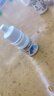 【原研进口】托百士 妥布霉素滴眼液 0.3%*5ml/盒 2盒装 实拍图