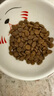 Orijen渴望猫粮 减肥期低卡 无谷成猫室内猫室内伴侣进口1.8kg效期26/2 实拍图