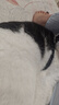 派迪诺（PAIDINUO）宠物猫咪营养排毛化毛套装猫用维生素片200片+猫草片300片 实拍图