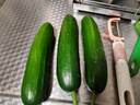 京鲜生 山东水果小黄瓜净重5斤单果80g+ 健康轻食 源头直发 实拍图