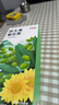 京东京造胖大海菊花茶150g(5g*30)咽喉伴侣可定制泡水喝养生茶茶叶团购 实拍图