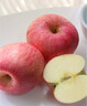玫栀烟台红富士苹果山东栖霞新鲜孕妇吃的水果不打蜡一级脆甜当季整箱 75mm(含)-80mm(不含) 富士 9斤 A+精选果 实拍图