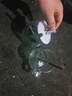 【采销优选】爆款卡通小熊玻璃杯带把手早餐学生燕麦咖啡饮料杯 小熊马克杯400ml一只 实拍图