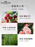 蔻驰（COACH）纽约女士浓香水30ml礼盒 节日生日礼物送女友闺蜜老婆香氛 实拍图