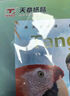 天章 （TANGO）A4铜版纸200g 彩色激光铜版打印名片纸 a4激光双面高光照片彩激纸 50张/包 【仅适用于激光打印】 实拍图