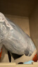 振德一次性医用外科口罩 成人立体透气防晒防粉尘过敏 蓝色10只*20袋 实拍图