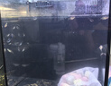 老漁匠桌面智能鱼缸超白玻璃客厅卧室小型家用水族箱造景生态金鱼乌龟缸 mini智能生态缸黑长22cm【集成养鱼器材 】 实拍图