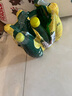Perrier氼颂家巴黎水 进口气泡水 0糖0卡0脂 柠檬味矿泉水500ml*6瓶  实拍图