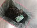贡苑乌龙茶 潮州凤凰单枞 鸭屎香 一级500g礼盒装乌岽茶叶自己喝 实拍图