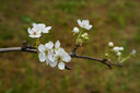 适马（SIGMA）56mm F1.4 DC DN｜Contemporary 半画幅大光圈定焦镜头 人像特写（适马56 f1.4索尼E卡口） 实拍图