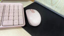罗技（Logitech）MK251无线蓝牙键盘鼠标套装 办公商务笔记本电脑 数字键盘99键粉色键鼠套装（K251键盘+M196鼠标） 实拍图