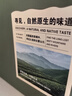 崂卓崂山绿茶礼盒装2026新茶250g 头采清香型 山东青岛特产 实拍图