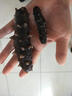 舜御堂大连淡干海参9年深海底播 辽刺参 海参干货 9A9年 简装250克  25-40头 实拍图