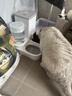 疯狂的主人猫咪自动喂食器饮水机一体猫碗猫食盆狗吃饭喝水猫粮机 实拍图